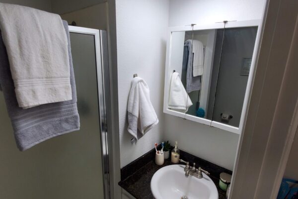 Apartment Bathroom Shower & Vanity