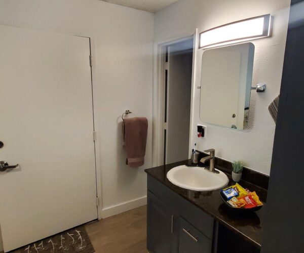 Apartment bathroom with vanity