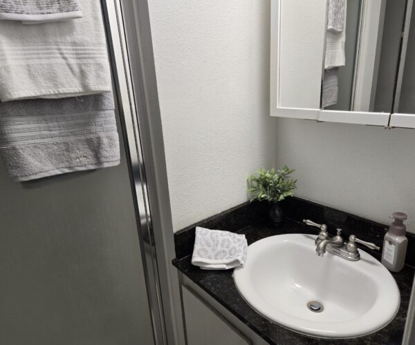 Bathroom vanity with white oval sink, chrome faucet, black granite countertop, towel, small plant, and soap dispenser under a mirrored cabinet.