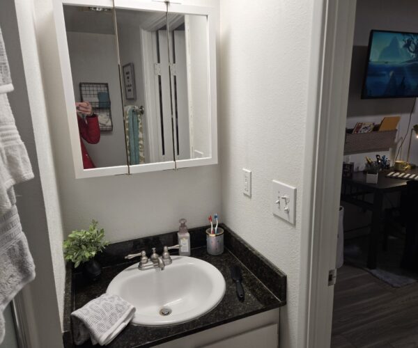 Bathroom vanity with white sink and silver faucet on a dark granite countertop, small plant, pump soap, toothbrush cup, and a towel on the sink edge.