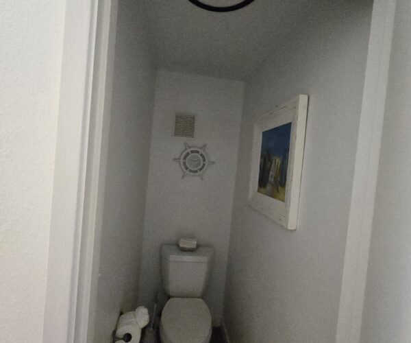 Narrow bathroom with a toilet at the far end, framed picture on the wall, and toilet paper scattered on the floor.