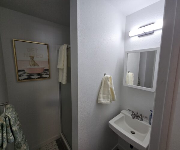 Small bathroom with a white sink, wall mirror, and towels; a gold-framed leopard poster hangs on the left wall near the shower.