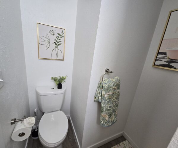 Small bathroom with a white toilet, framed botanical art on the wall, and a green patterned towel hanging nearby.